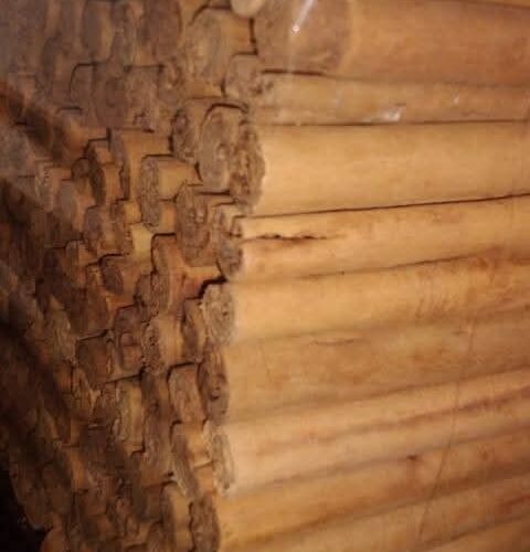 Premium Quality Ceylon Cinnamon - Image 9