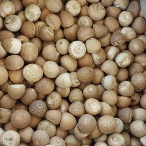 Betel Nuts - Image 3