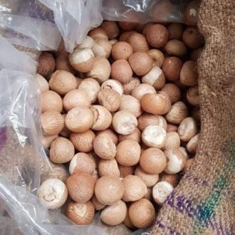 Betel Nuts