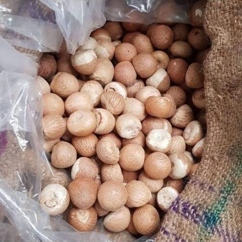 Betel Nuts