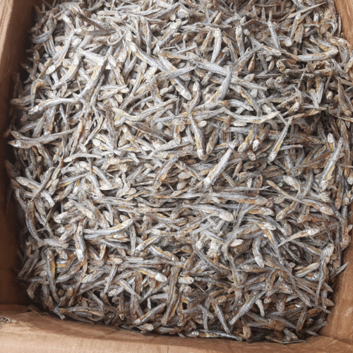 Dried Whitebait - Image 7