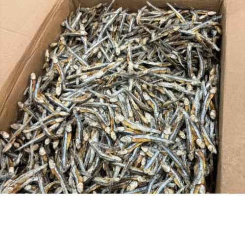 Dried Whitebait - Image 8