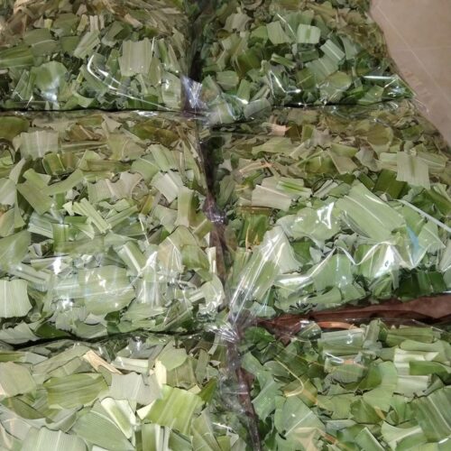 Pandan Leaves (Rampa leaves) - Image 2