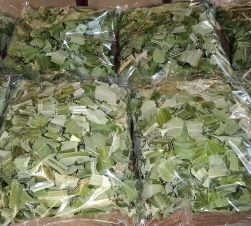 Pandan Leaves (Rampa leaves) - Image 5