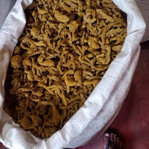 Turmeric Powder - Image 3
