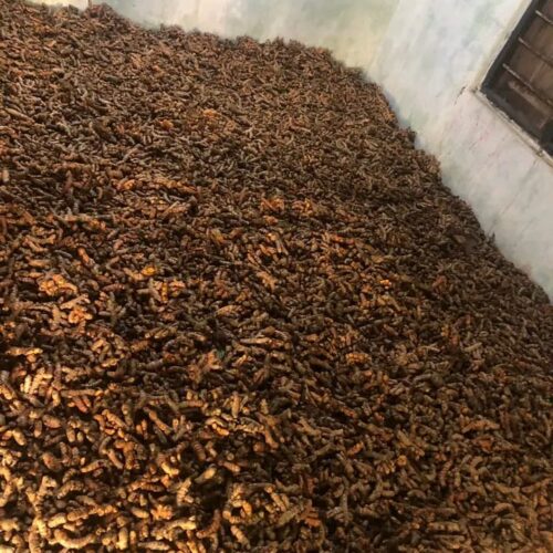 Turmeric Powder - Image 2