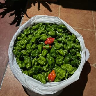 Scotch Bonnet Pepper – Dried & Raw